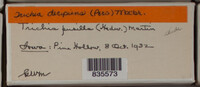 Image Associated With the Occurence